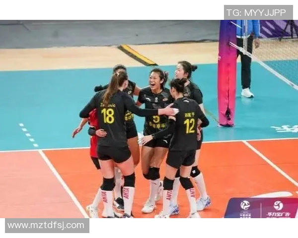 四川女排迎战辽宁女排决战赛场展现巾帼风采与竞技魅力