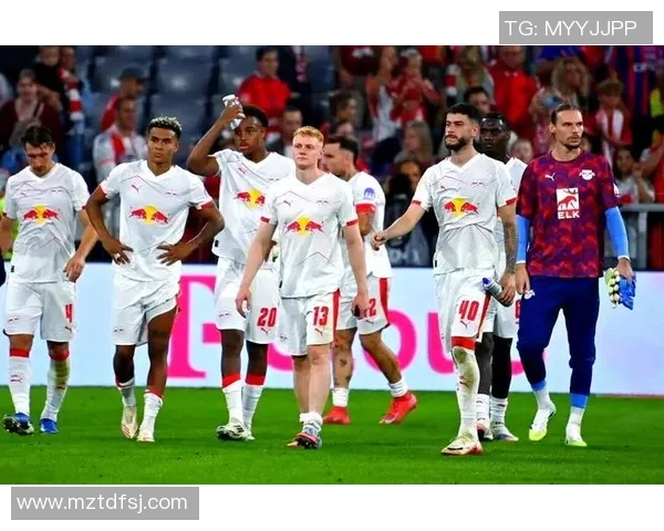 海登海姆主场迎战汉堡期待精彩对决双方争夺宝贵积分的焦点之战