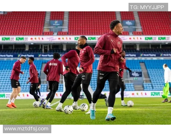 瑞士与卡塔尔足球比赛精彩对决展现两国足球实力与风采